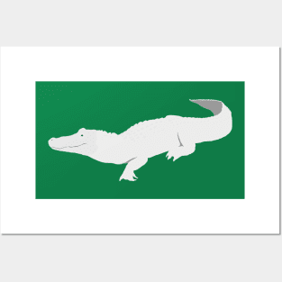 Albino Alligator Posters and Art